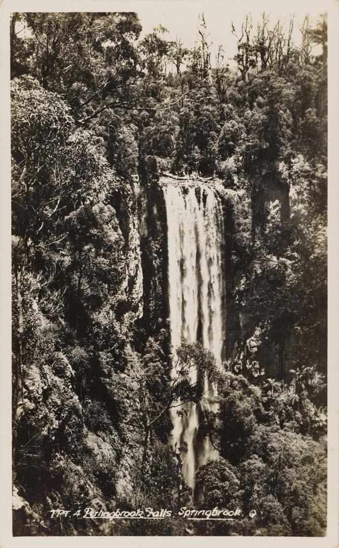 Artwork Purlingbrook Falls, Springbrook Q (from 'Murray Views') this artwork made of Postcard: Black and white photograph on paper, created in 1905-01-01