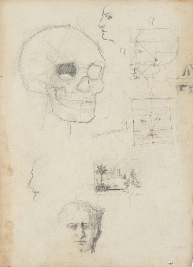 Artwork Anatomical studies; St Brigid's this artwork made of Pencil on sketch paper, created in 1916-01-01