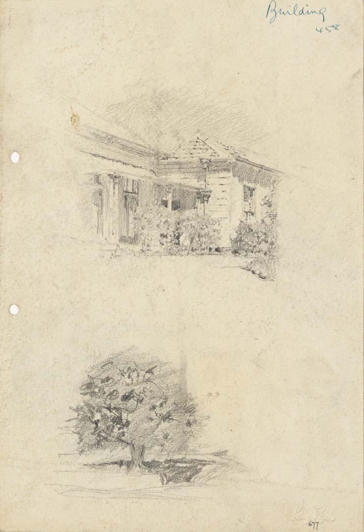 Artwork Cowlishaw's house; Tree this artwork made of Pencil on sketch paper, created in 1916-01-01