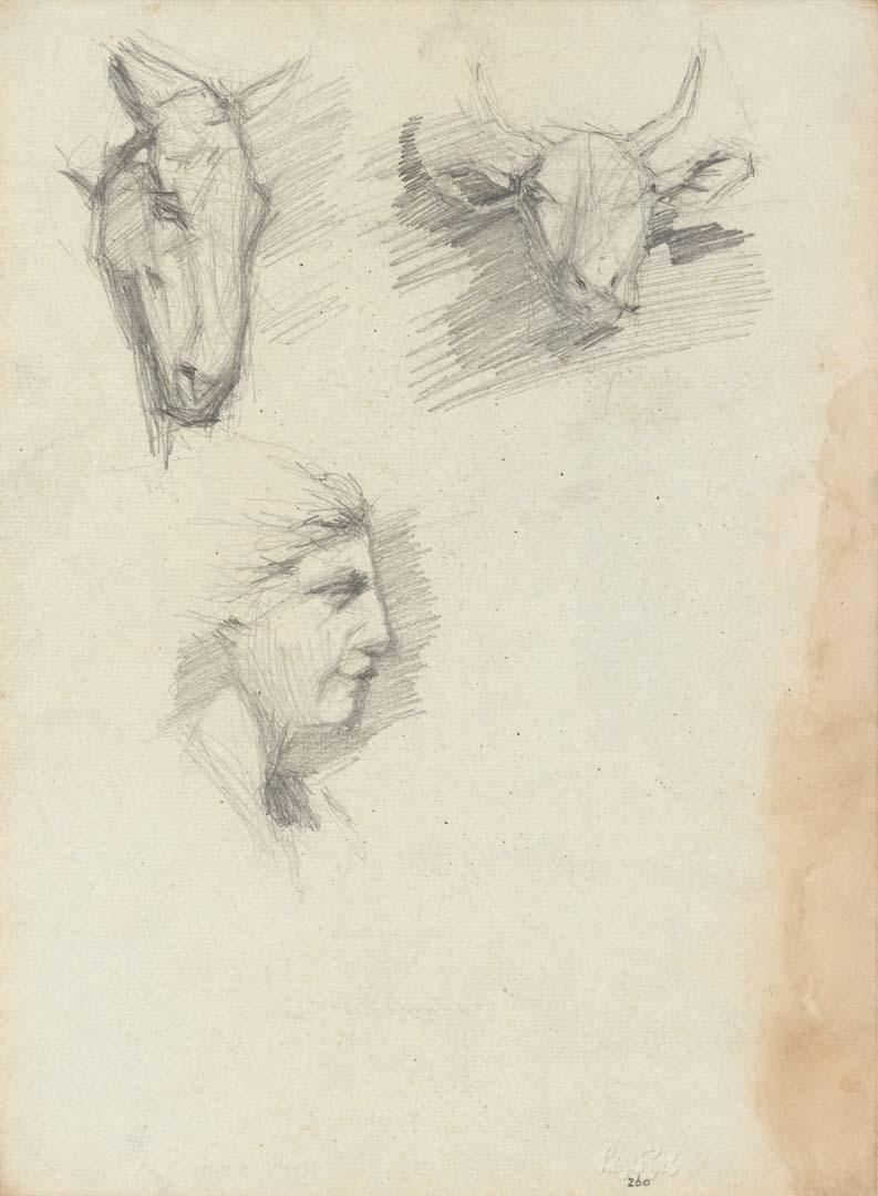 Artwork Studies of heads - horse, cow and man this artwork made of Pencil on sketch paper, created in 1914-01-01