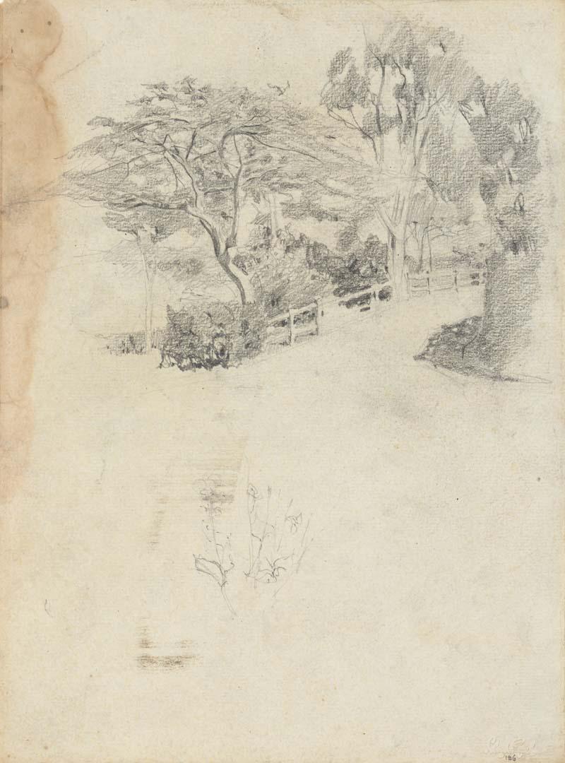 Artwork Cowlishaw's driveway this artwork made of Pencil on sketch paper, created in 1916-01-01