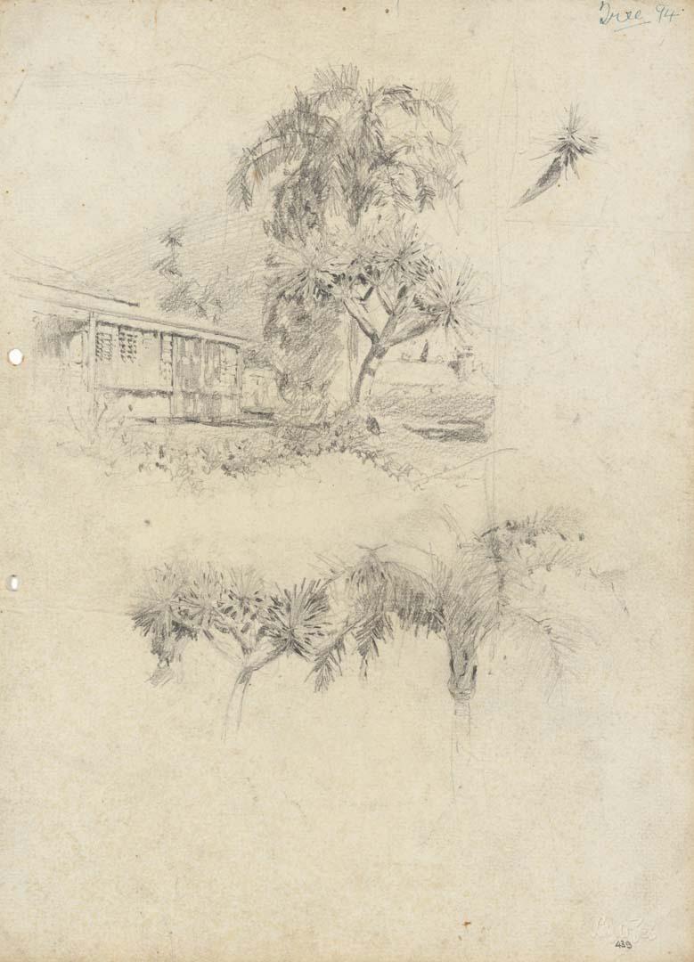 Artwork East corner of Cowlishaw's with palms and tropical shrubs this artwork made of Pencil on sketch paper, created in 1916-01-01