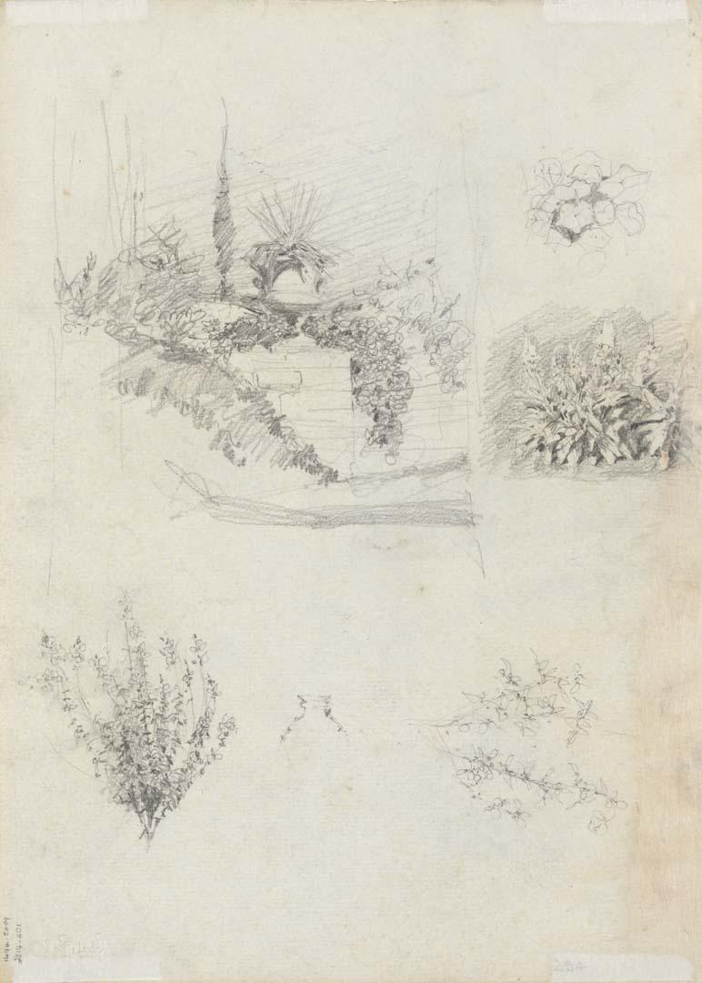Artwork Garden studies for the L'Estrange house this artwork made of Pencil on sketch paper, created in 1916-01-01