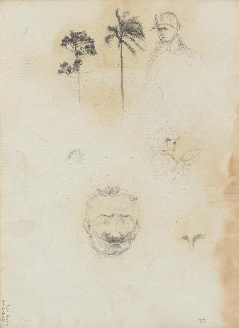 Artwork Eucalypt and palm tree; Three portraits, including one of Napoleon this artwork made of Pencil on sketch paper, created in 1914-01-01