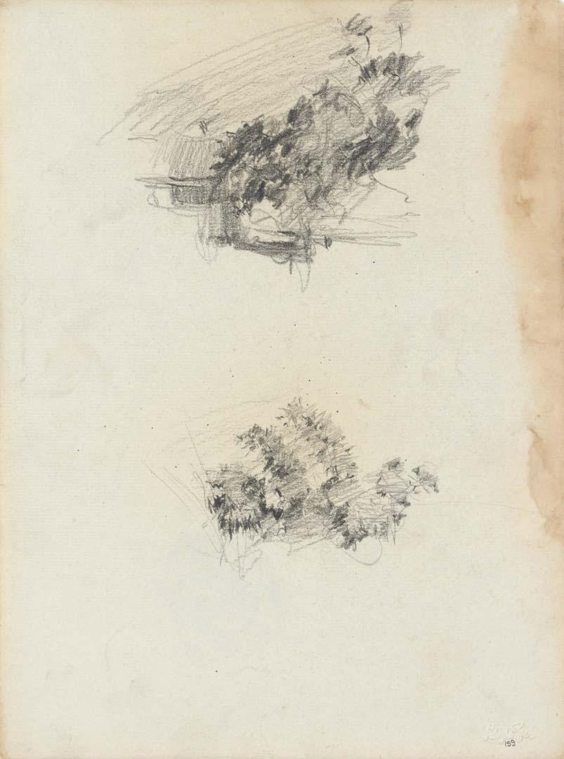 Artwork Two bushes this artwork made of Pencil on sketch paper, created in 1914-01-01