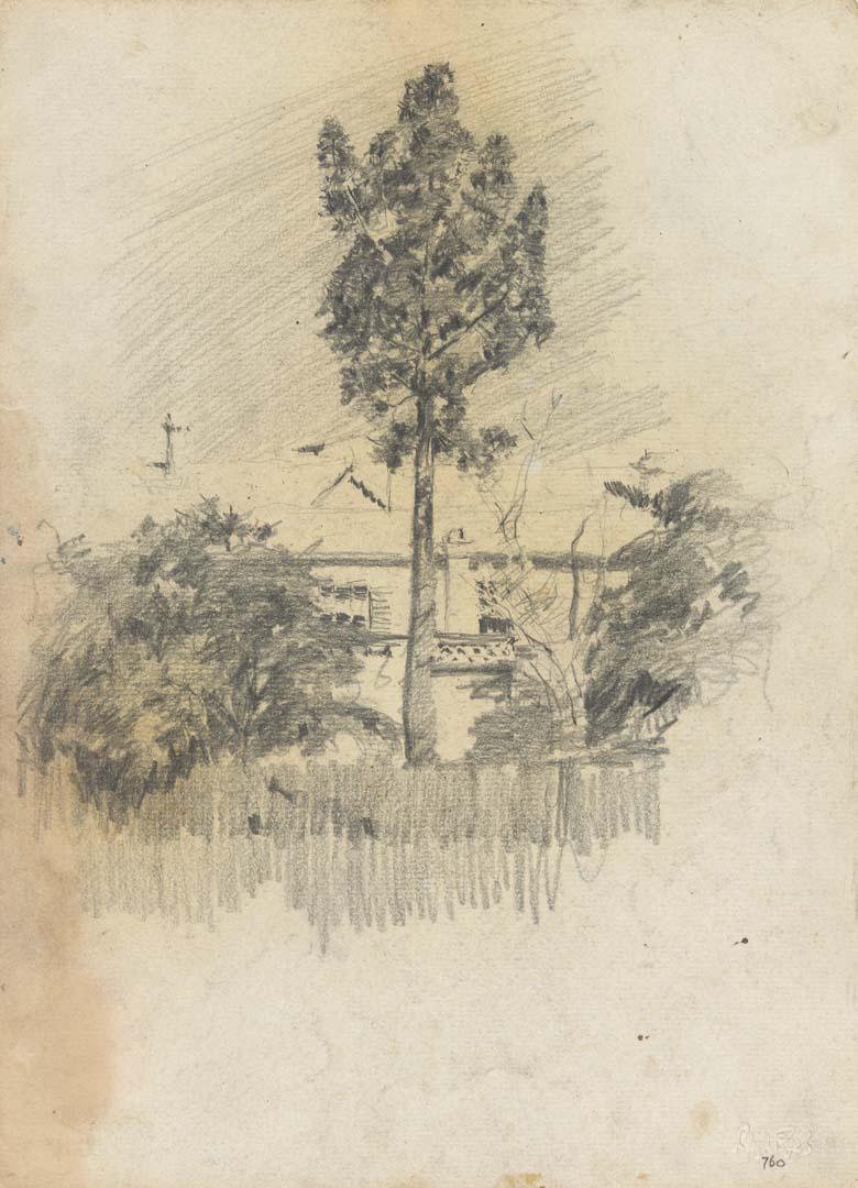 Artwork Tall tree with house this artwork made of Pencil on sketch paper, created in 1914-01-01
