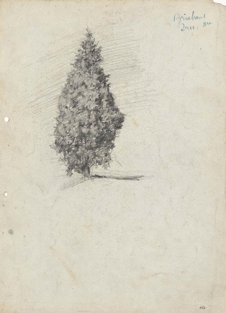 Artwork Fir tree in the Gardens this artwork made of Pencil on sketch paper, created in 1914-01-01