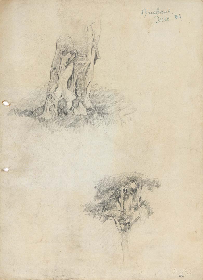 Artwork Trunk and roots of a fig tree; Study of a tree this artwork made of Pencil on sketch paper, created in 1914-01-01