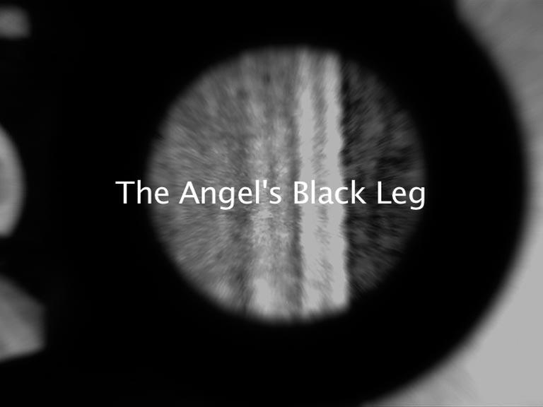 Artwork The angel's black leg this artwork made of SD video: 9:48 minutes, black and white, stereo, 4:3, created in 2011-01-01