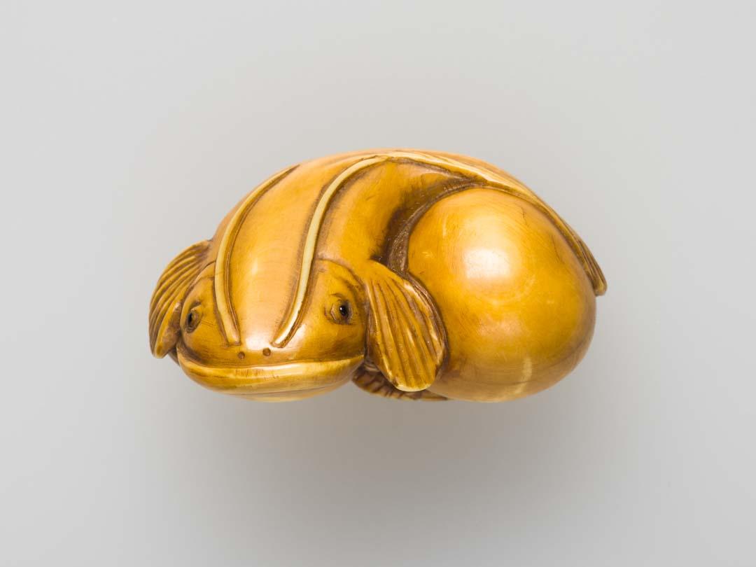 Artwork Netsuke: (catfish) this artwork made of Carved ivory, created in 1800-01-01