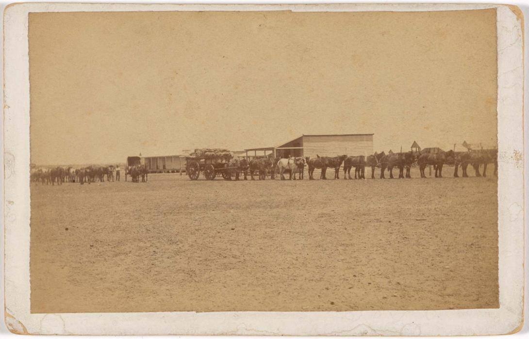 Artwork Arrival of teams at Camooweal with general goods from Burketown, a seaport 240 miles away this artwork made of Albumen photograph on paper mounted on card, created in 1894-01-01