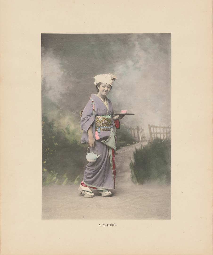 Artwork A waitress this artwork made of Hand-coloured collotype, created in 1895-01-01