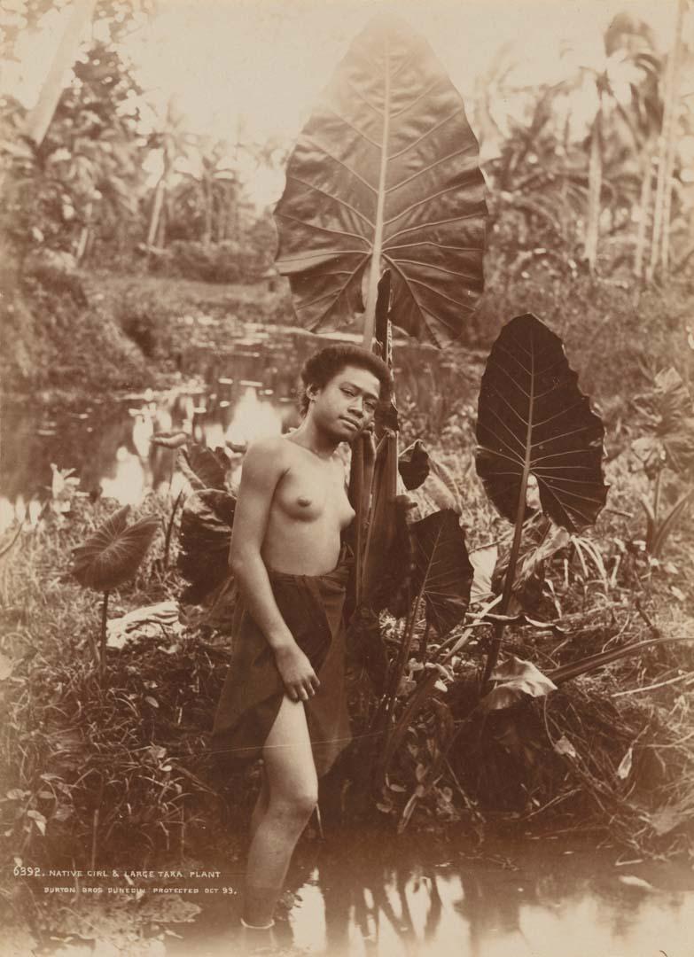 Artwork Native girl and large taro plant this artwork made of Albumen photograph on paper mounted on card, created in 1899-01-01