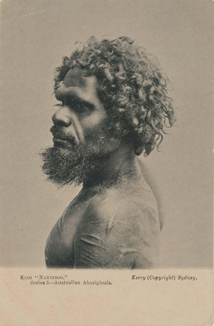 Artwork King “Narimboo” series 5 - Australian Aboriginals this artwork made of Postcard: Black and white photographic print, created in 1895-01-01