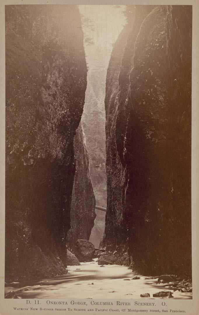Artwork D.H. Oneonta Gorge, Columbia River Scenery O. this artwork made of Albumen photograph on paper, created in 1879-01-01