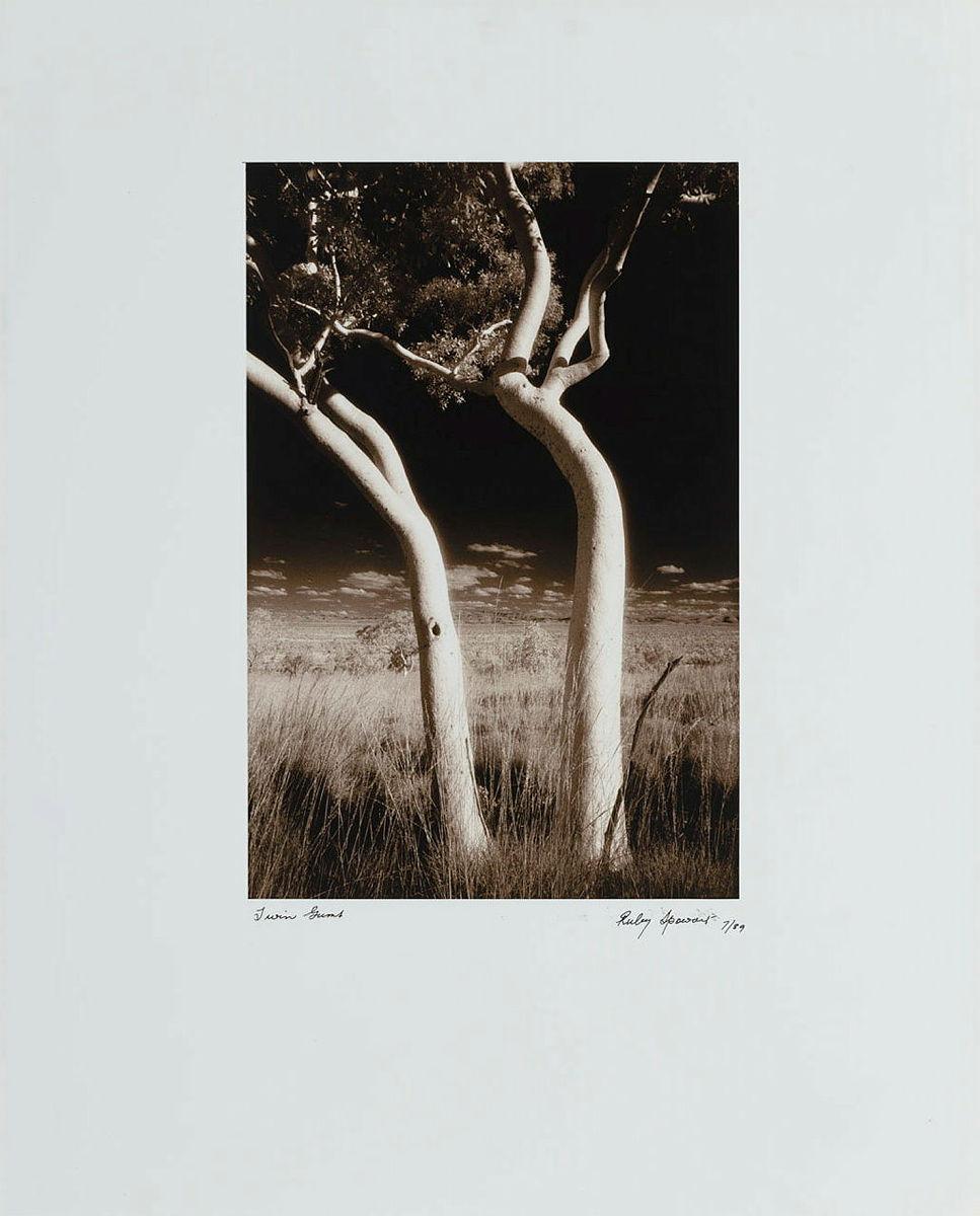 Artwork Twin gums  this artwork made of Sepia-toned gelatin silver photograph from infrared film on paper, created in 1989-01-01