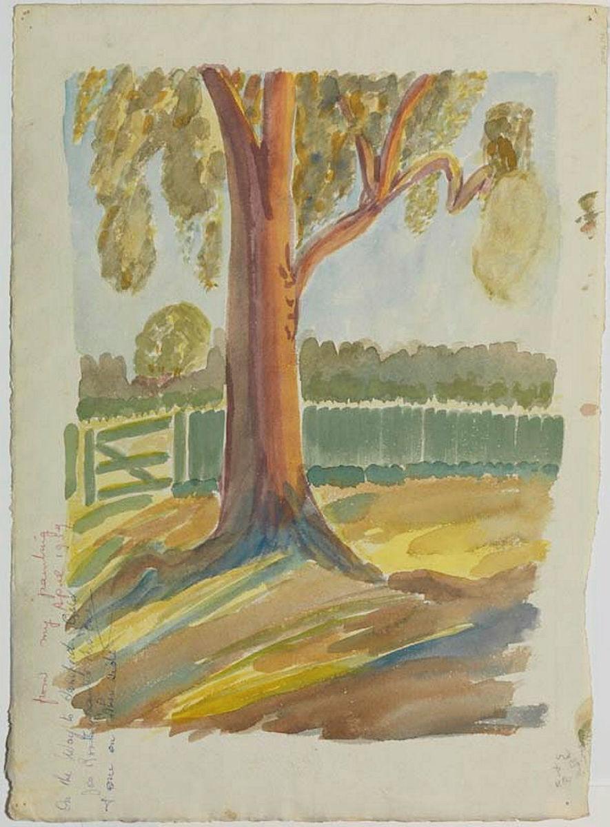Artwork (Tree and fence on the way to Samford) this artwork made of Watercolour over pencil on paper, created in 1958-01-01