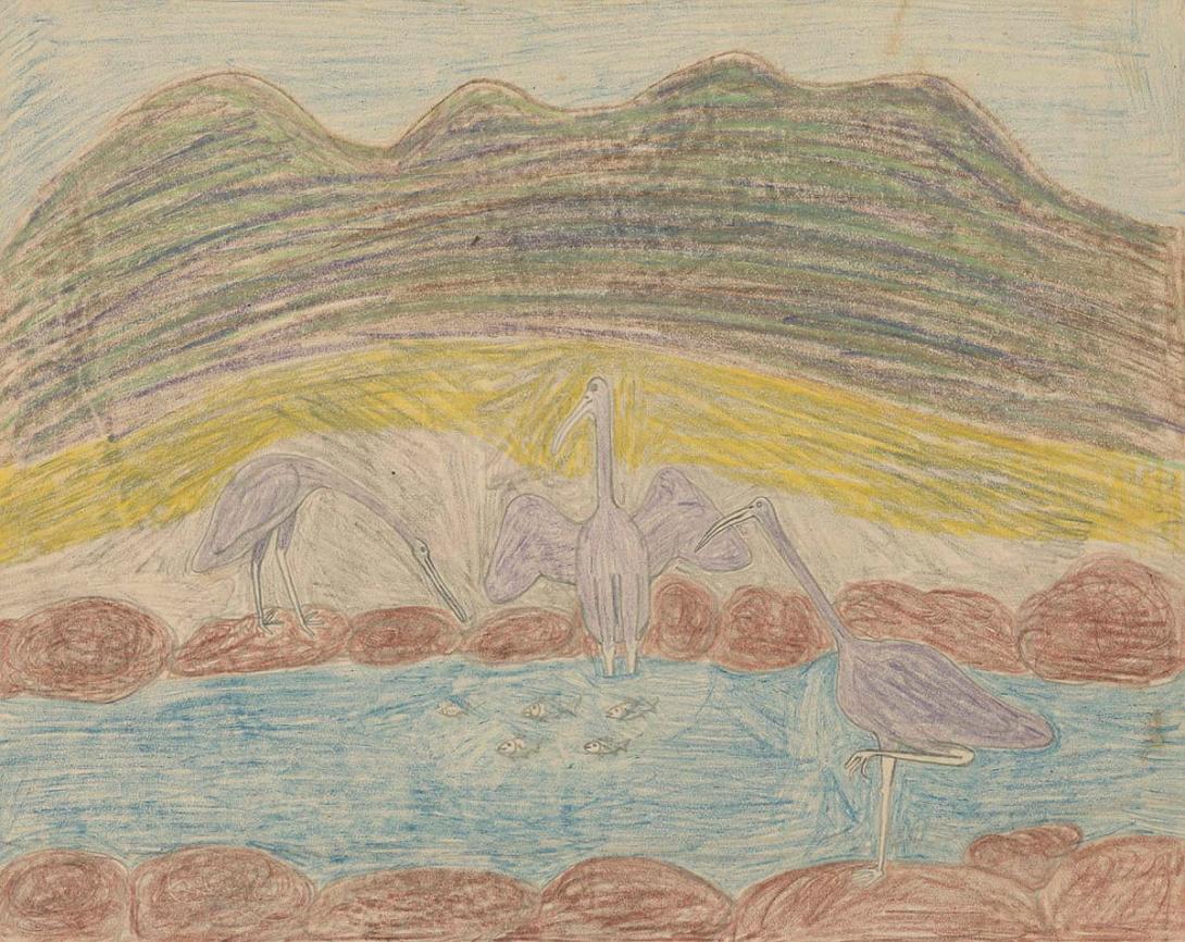 Artwork (Water birds) this artwork made of Coloured pencil and graphite on paper