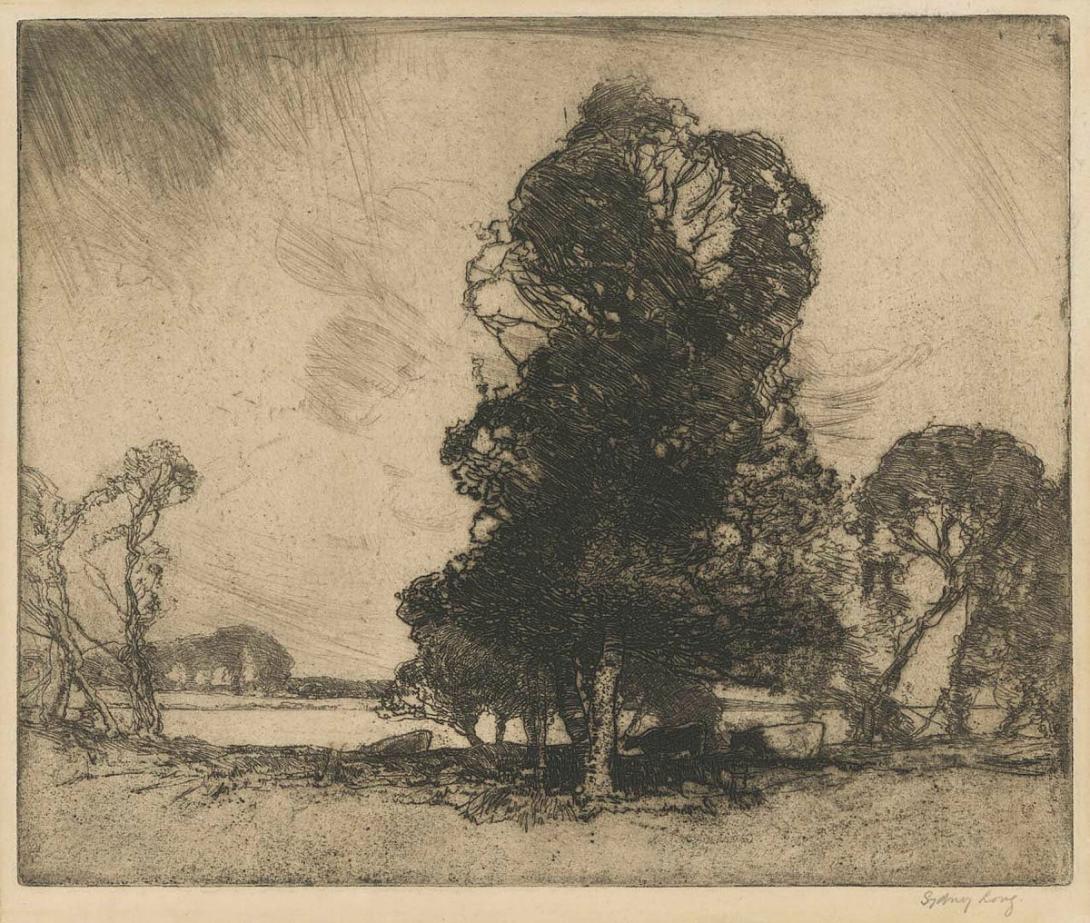 Artwork Between the showers this artwork made of Etching and drypoint on zinc, created in 1916-01-01