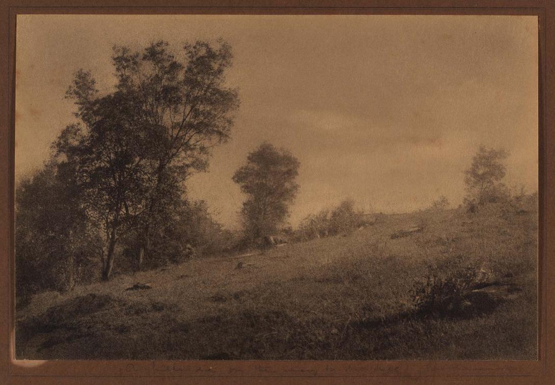 Artwork A hillside on the road to Mt Mee this artwork made of Bromoil photograph on paper, created in 1925-01-01