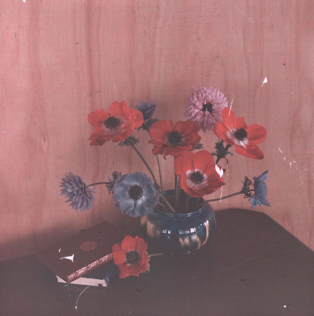 Artwork (Still life:  flowers in a vase with a book) this artwork made of Cellulose acetate Dufay colour transparency (originally in a glass mount)