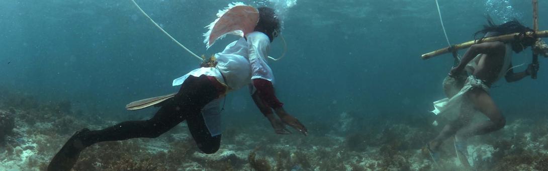 A widescreen frame from a video filmed underwater.