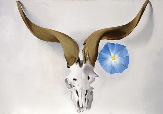 A painting of a ram's head skull against a plain white background, with a blue morning glory flower under it's right horn.