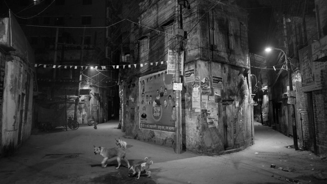 A photograph of an alleyway at night, with roaming dogs in the foreground.