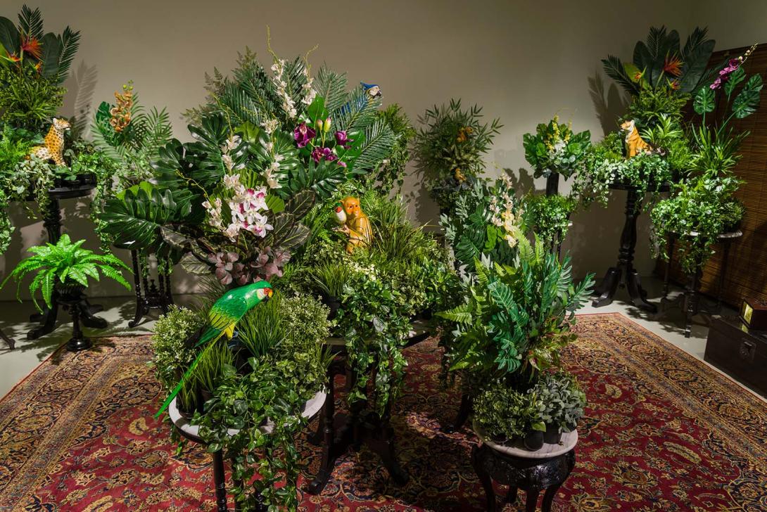 An installation of tropical plants indoors, on plant stands on a large decorative floor rug.