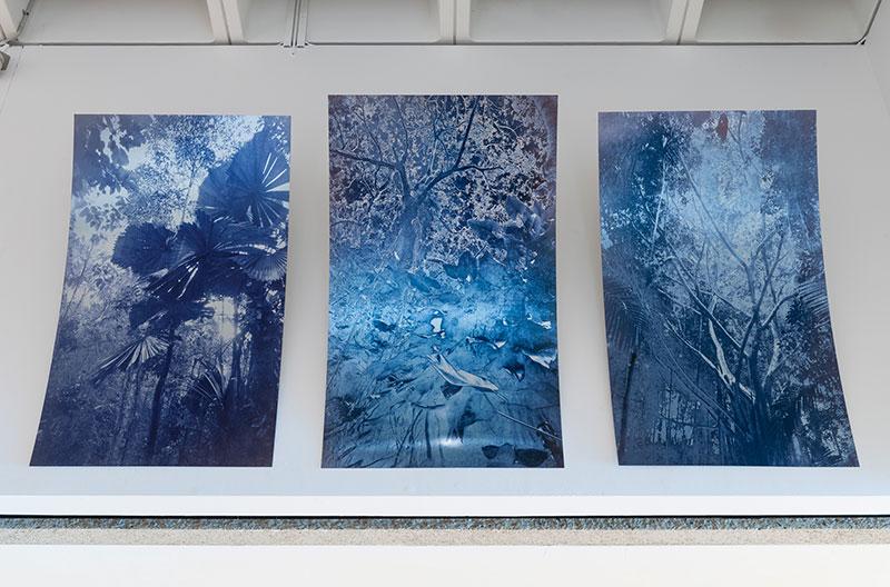 An installation view of three panels depicting a forest in deep blue colour.